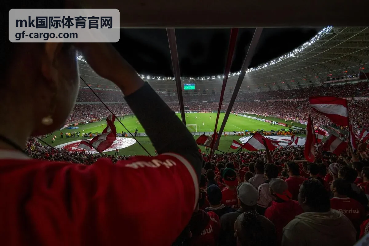 mk国际体育官网体育装备频道 护膝护踝组合套